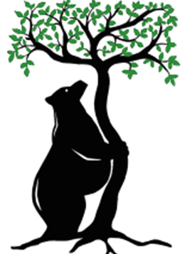 Lindicum Logo